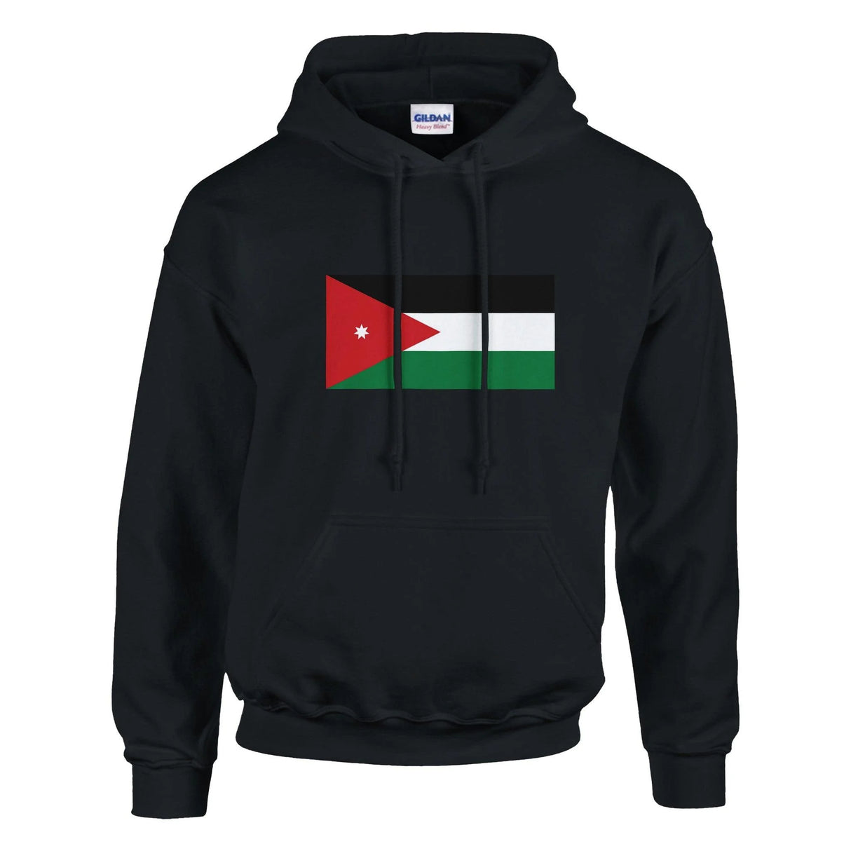 Sweat à capuche jordanie coton mélangé broderie couleur