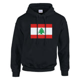 Sweat à capuche liban coton mélangé brodé confortable
