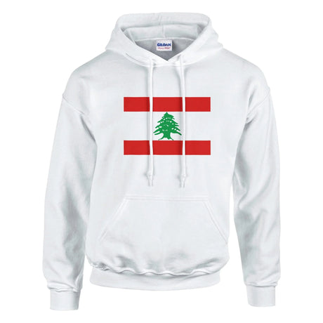 Sweat à capuche liban coton mélangé brodé confortable