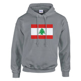 Sweat à capuche liban coton mélangé brodé confortable