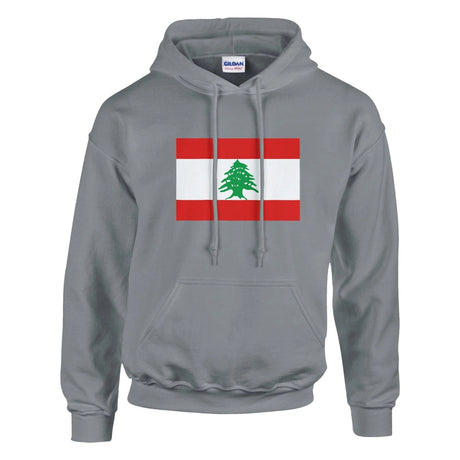 Sweat à capuche liban coton mélangé brodé confortable
