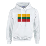 Sweat à capuche lituanie coton mélangé drapeau brodé
