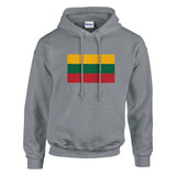 Sweat à capuche lituanie coton mélangé drapeau brodé