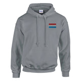 Sweat à capuche luxembourg brodé coton mélangé recyclé