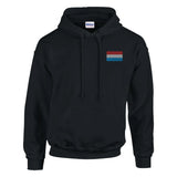 Sweat à capuche luxembourg brodé coton mélangé recyclé
