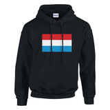 Sweat à capuche luxembourg coton mélangé broderie couleur