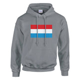 Sweat à capuche luxembourg coton mélangé broderie couleur
