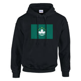 Sweat à capuche macao coton mélangé motif brodé