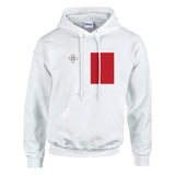 Sweat à capuche malte coton mélangé broderie couleur