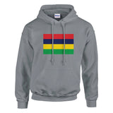 Sweat à capuche maurice coton mélangé broderie couleur