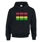 Sweat à capuche maurice coton mélangé broderie couleur