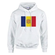 Sweat à capuche moldavie coton mélangé broderie confort