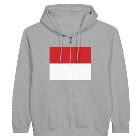 Sweat à capuche monaco coton mélangé broderie fermeture éclair