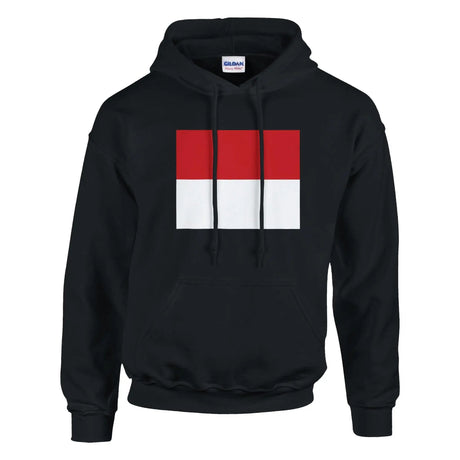 Sweat à capuche monaco coton mélangé broderie patriote