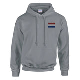 Sweat à capuche pays-bas broderie couleur coton mélangé