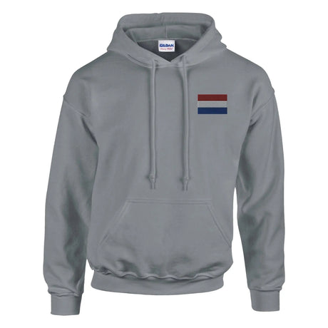 Sweat à capuche pays-bas broderie couleur coton mélangé