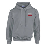 Sweat à capuche pologne coton mélangé broderie couleur