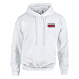 Sweat à capuche pologne coton mélangé broderie couleur