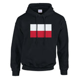 Sweat à capuche pologne coton mélangé broderie patriotique