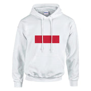 Sweat à capuche pologne coton mélangé broderie patriotique