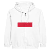 Sweat à capuche pologne fermeture éclair coton broderie