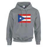 Sweat à capuche porto rico coton mélangé broderie