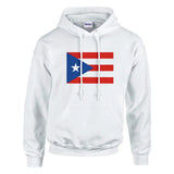 Sweat à capuche porto rico coton mélangé broderie