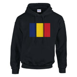 Sweat à capuche roumanie coton mélangé broderie