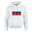 Sweat à capuche russie coton mélangé broderie patriote
