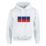 Sweat à capuche russie coton mélangé broderie patriote