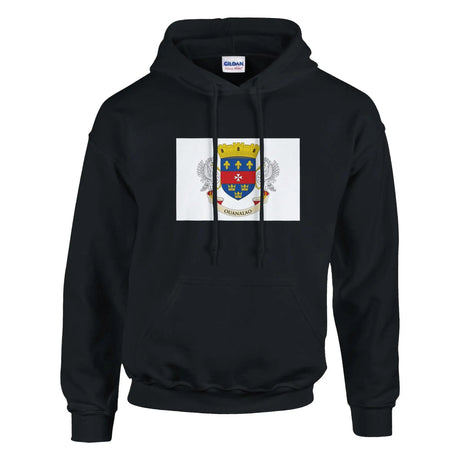Sweat à capuche saint-barthélemy coton mélangé broderie