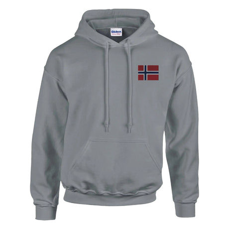 Sweat à capuche svalbard et jan mayen brodé coton mélangé