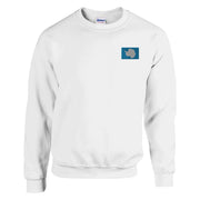 Sweat-shirt antarctique broderie couleur coton mélangé