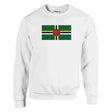 Sweat-shirt dominique drapeau coton mélangé brodé doux