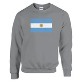 Sweat-shirt drapeau argentine coton mélangé broderie douce
