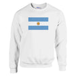 Sweat-shirt drapeau argentine coton mélangé broderie douce
