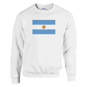 Sweat-shirt drapeau argentine coton mélangé broderie douce