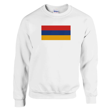 Sweat-shirt drapeau arménie coton mélangé broderie