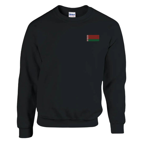 Sweat-shirt drapeau de la biélorussie en broderie - pixelforma