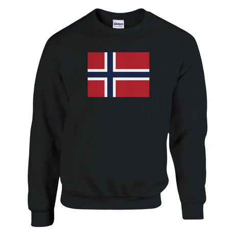 Sweat-shirt Drapeau de la Norvège - Pixelforma 