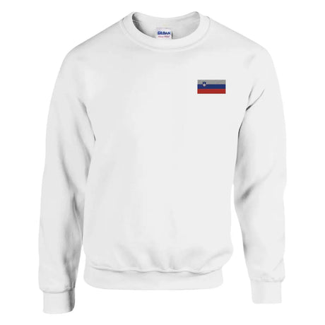 Sweat-shirt drapeau de la slovénie en broderie - pixelformaflag