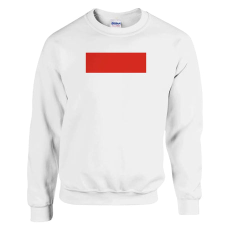 Sweat-shirt drapeau de l’indonésie - pixelformaflag