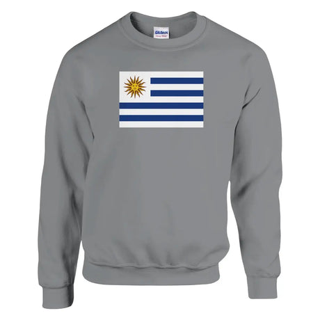 Sweat-shirt Drapeau de l'Uruguay - Pixelforma 