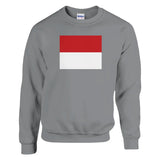 Sweat-shirt Drapeau de Monaco - Pixelforma 