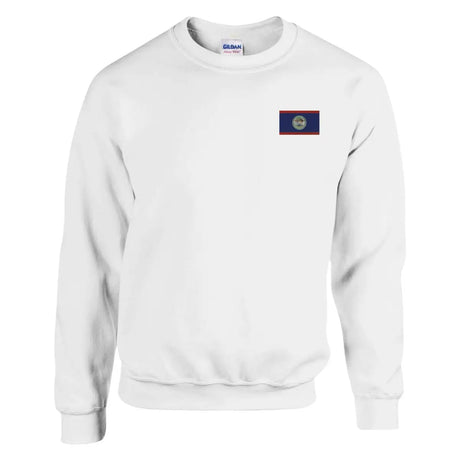 Sweat-shirt drapeau du belize en broderie - pixelformaflag