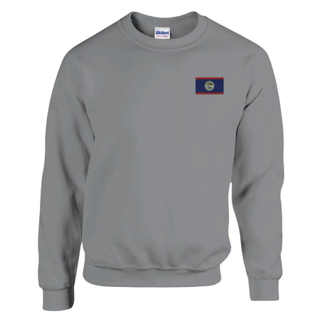 Sweat-shirt drapeau du belize en broderie - pixelformaflag