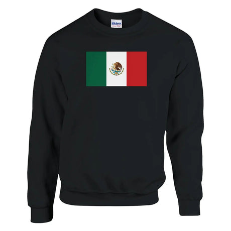 Sweat-shirt drapeau du mexique - pixelformaflag