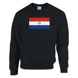 Sweat-shirt drapeau du paraguay - pixelformaflag