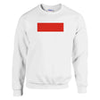 Sweat-shirt drapeau indonésie coton mélangé brodé doux