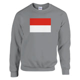 Sweat-shirt drapeau indonésie coton mélangé brodé doux
